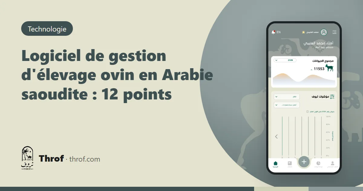 Logiciel de gestion d'élevage ovin en Arabie saoudite : un éleveur consulte une liste de critères sur son téléphone dans la bergerie — Throf