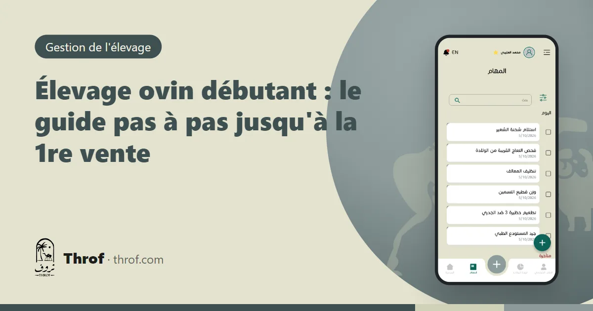 Un jeune éleveur observe ses premières brebis dans une bergerie propre — guide de l'élevage ovin pour débutants Throf