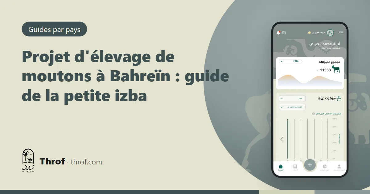 Moutons et chèvres dans une exploitation ombragée à Bahreïn — Throf
