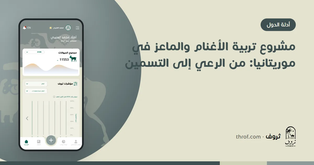 قطيع أغنام وماعز موريتاني بين المرعى وحظيرة التسمين — ثروف