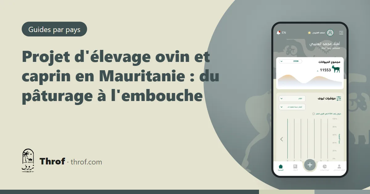 Troupeau mauritanien de moutons et chèvres entre parcours et parc d'embouche — Throf