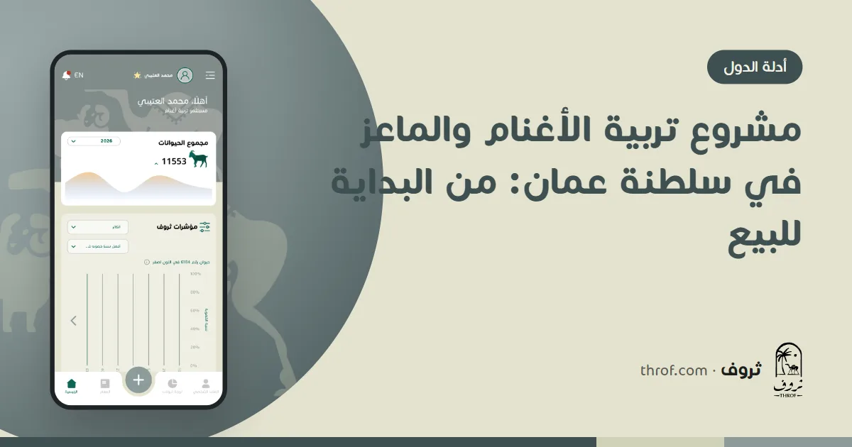 مشروع تربية الأغنام والماعز في مزرعة عمانية بين النخيل والجبال — ثروف