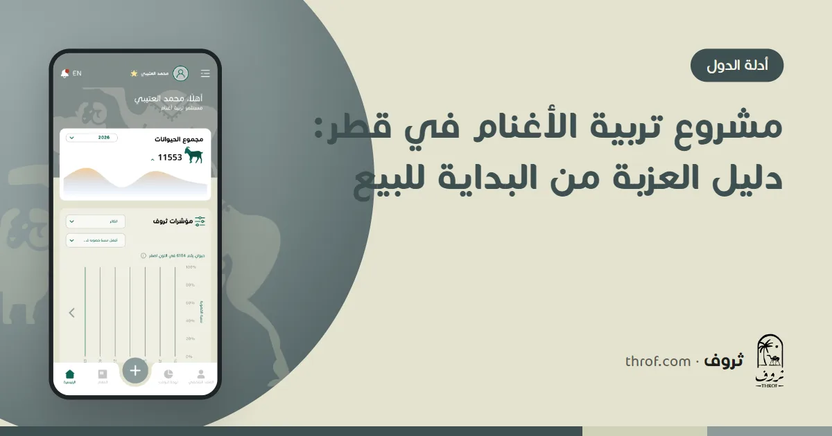 مشروع تربية الأغنام في قطر وتجهيز العزبة — ثروف