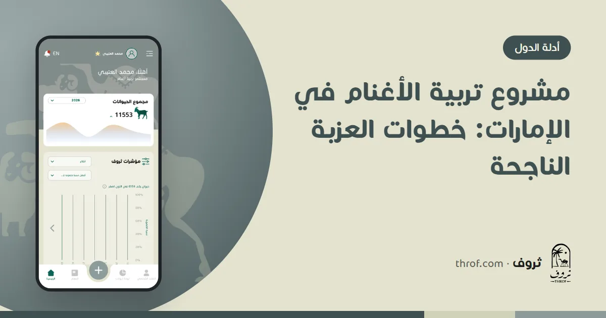 مشروع تربية الأغنام في الإمارات وعزبة مظللة — ثروف