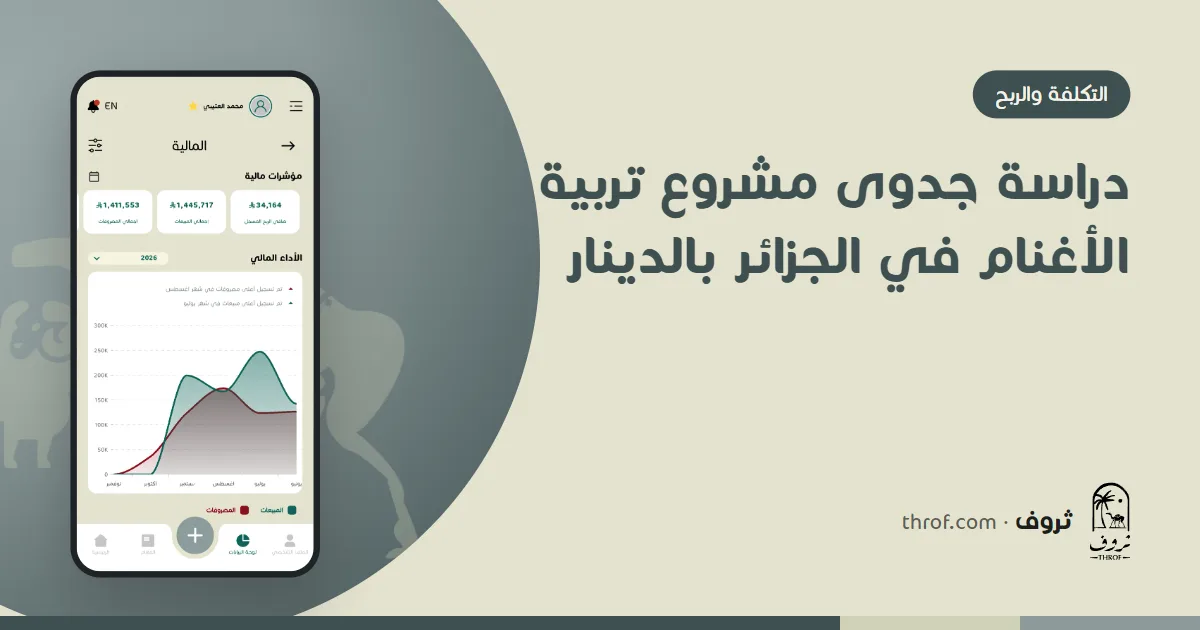 دراسة جدوى مشروع تربية الأغنام في الجزائر بالجداول والدينار — ثروف