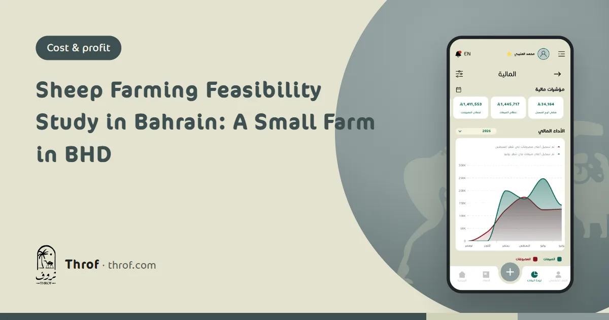 Sheep farming feasibility study for Bahrain with cost and revenue tables — Throf