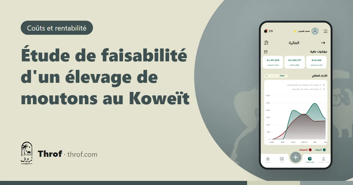 Étude de faisabilité d'un élevage de moutons au Koweït avec tableaux de coûts — Throf