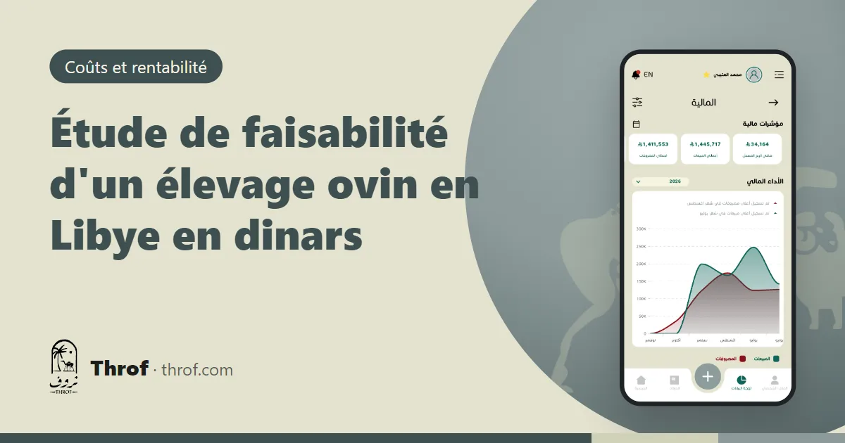 Étude de faisabilité d'un élevage ovin en Libye avec tableaux de coûts — Throf