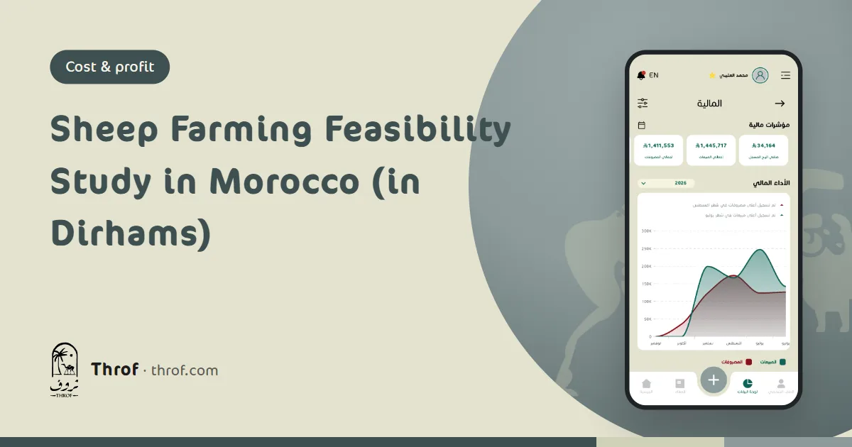 Sheep farming feasibility study in Morocco with dirham cost tables — Throf