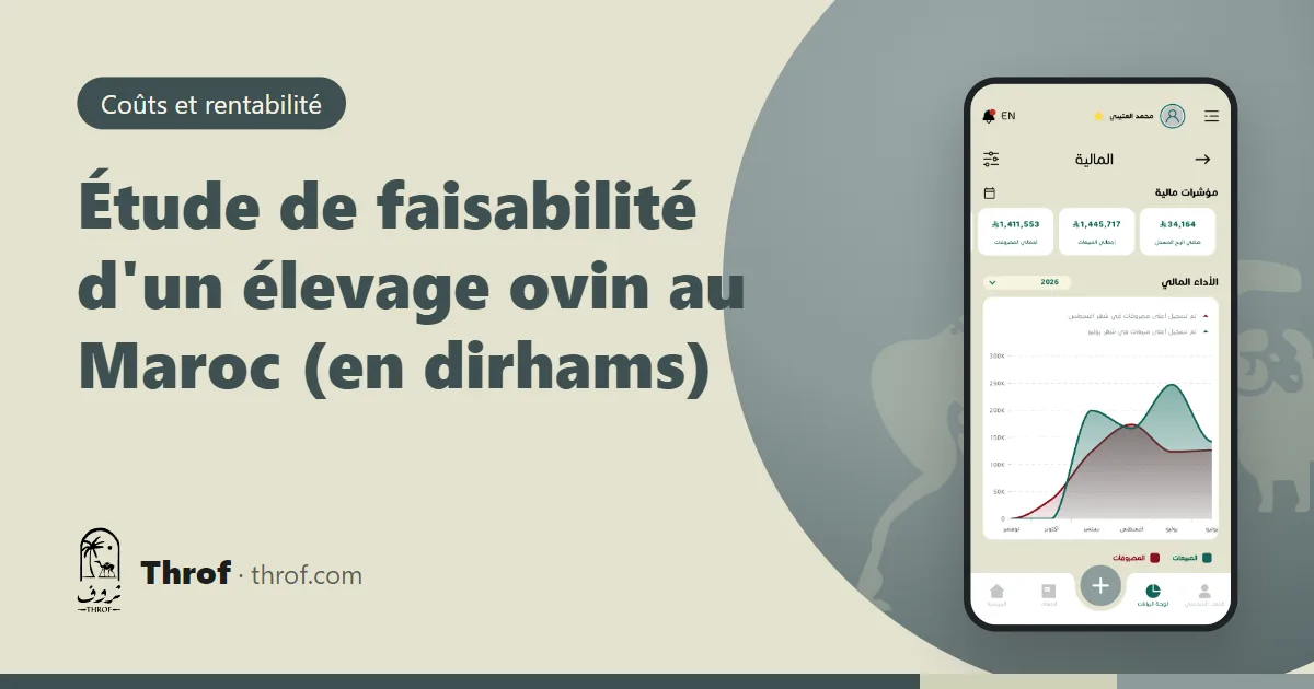 Étude de faisabilité d'un élevage ovin au Maroc avec tableaux de coûts en dirhams — Throf