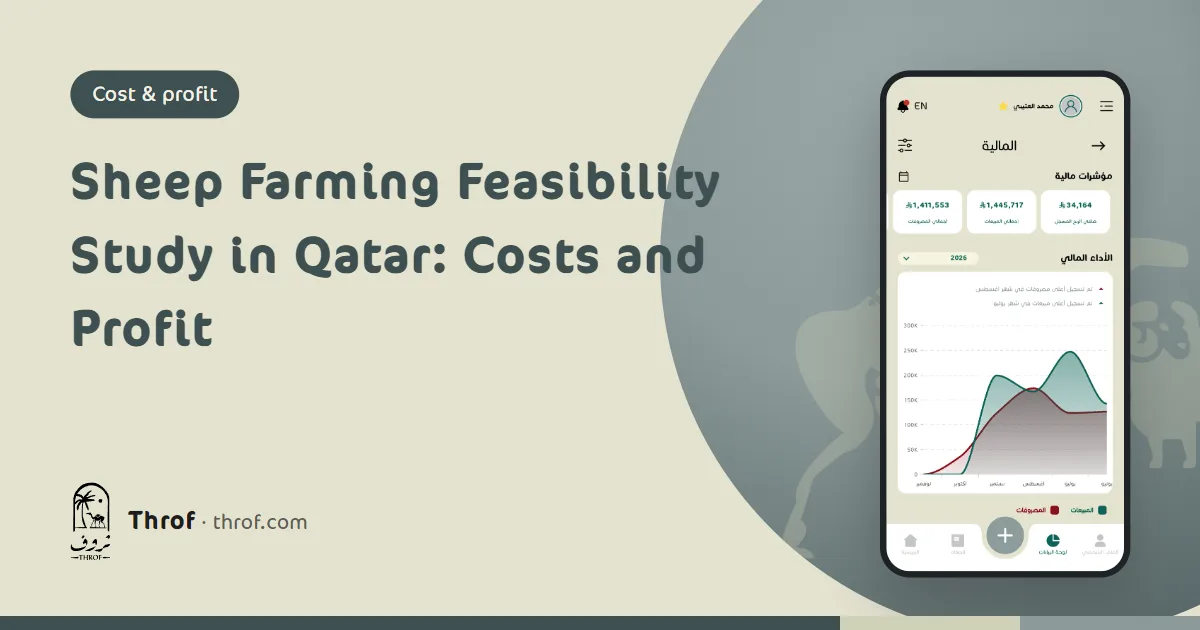 Sheep farming feasibility study for Qatar with cost and revenue tables — Throf