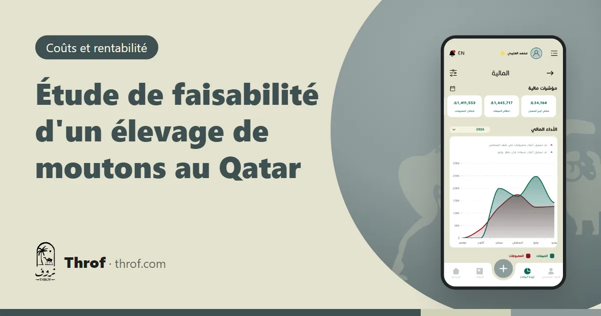 Étude de faisabilité d'un élevage de moutons au Qatar avec tableaux de coûts — Throf