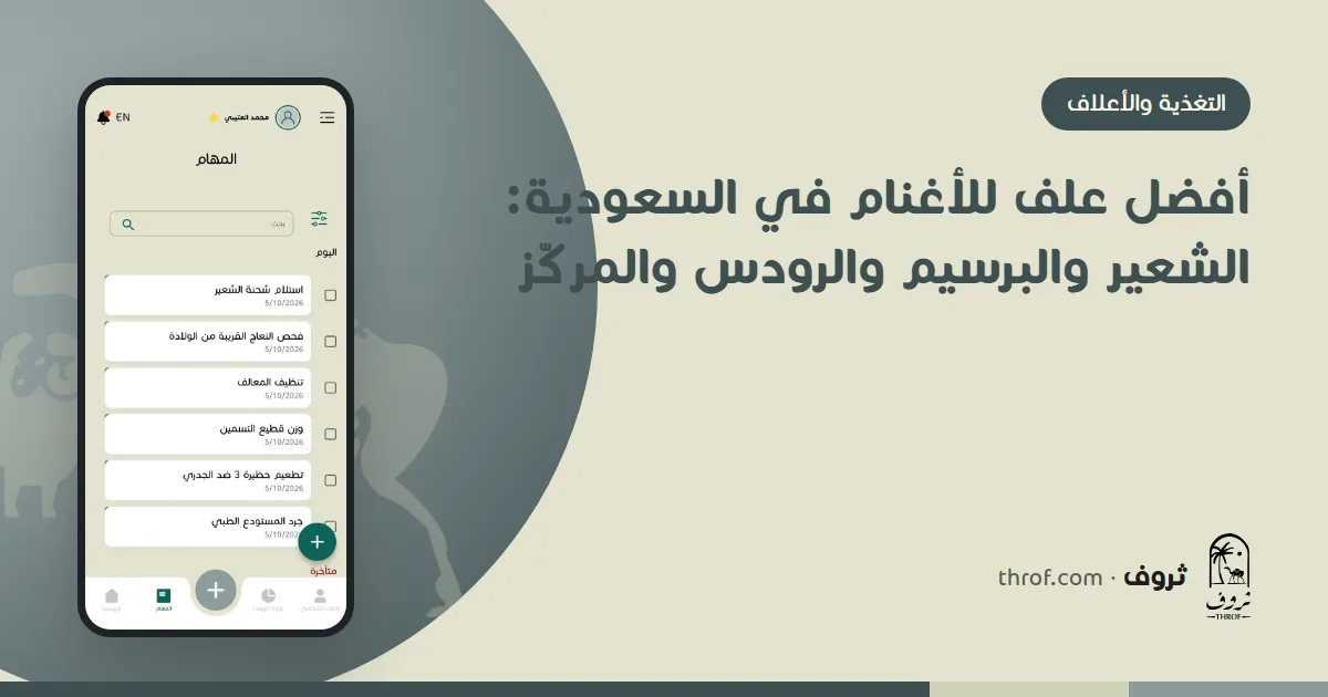 أنواع أعلاف الأغنام في السعودية — ثروف