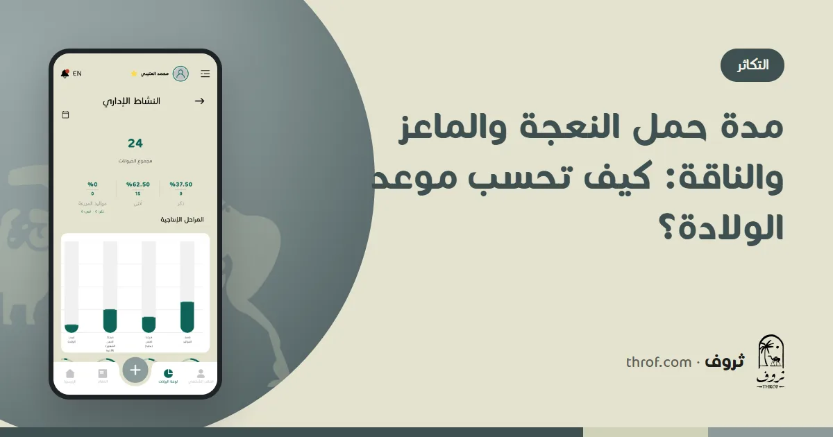 نعجة وعنز وناقة حوامل مع تقويم لموعد الولادة — ثروف