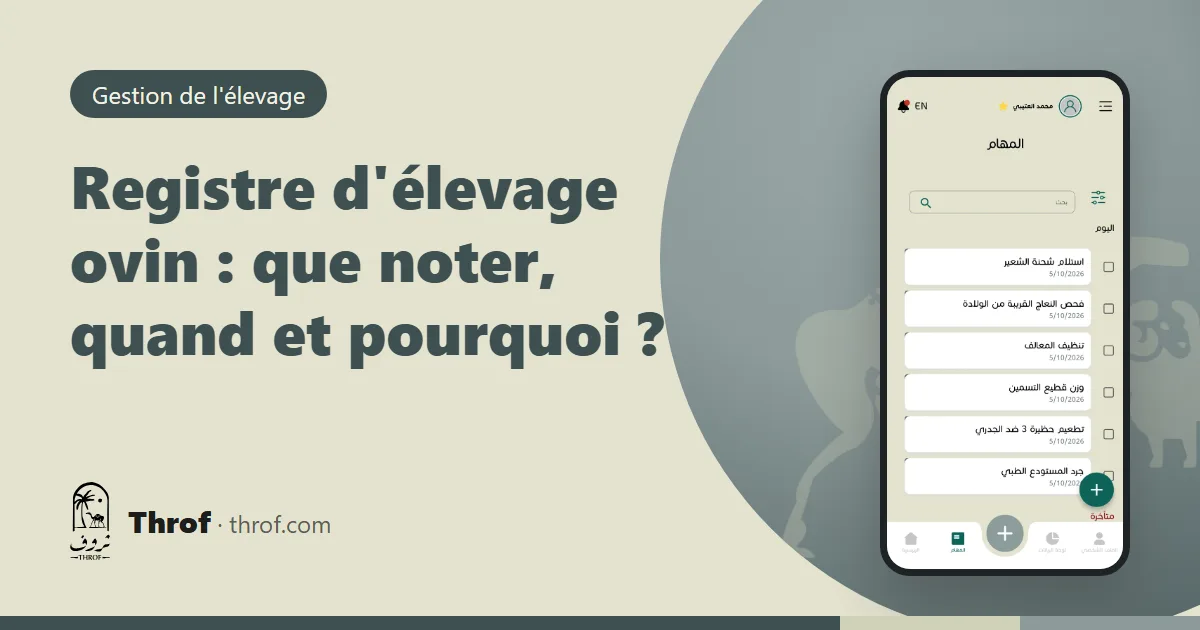 Registre d'élevage ovin : un éleveur note une brebis et son agneau nouveau-né dans la bergerie — Throf