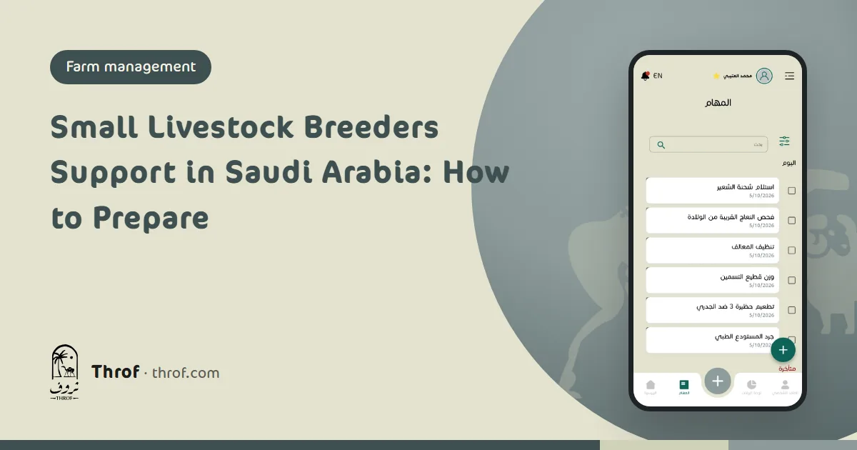 Small livestock breeders support in Saudi Arabia: a breeder reviews his herd records on his phone before applying — Throf