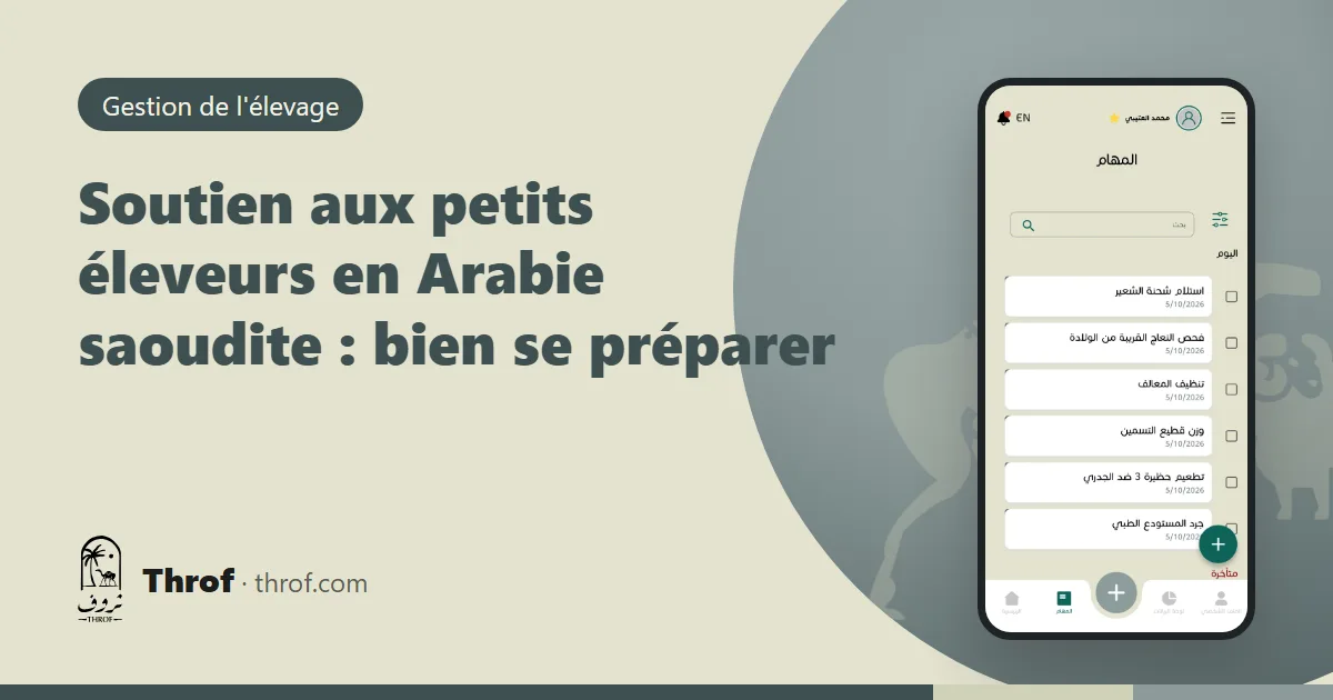Soutien aux petits éleveurs en Arabie saoudite : un éleveur vérifie le registre de son troupeau sur son téléphone avant sa demande — Throf