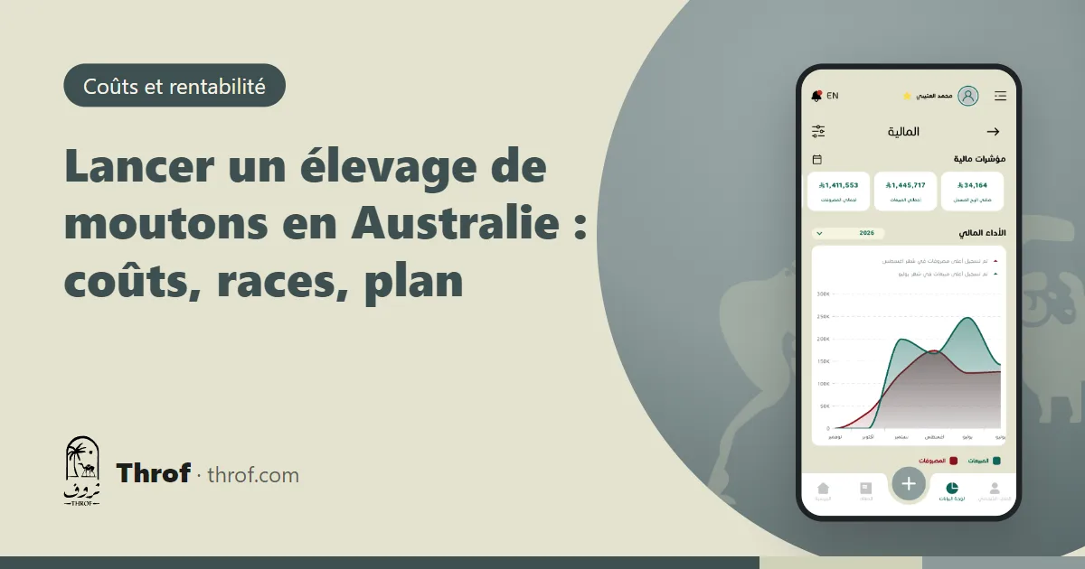 Préparer un nouvel élevage de moutons en Australie — Throf