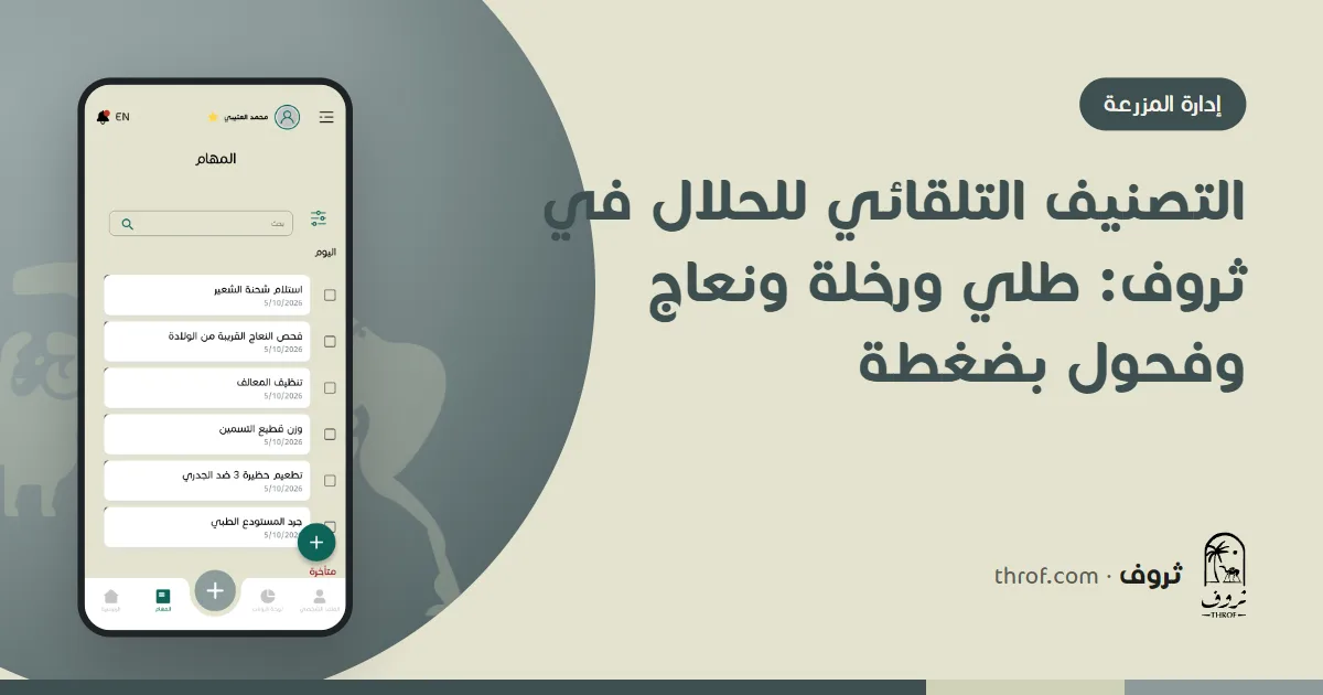 التصنيف التلقائي للحلال في ثروف: شاشة تصنيف الأغنام والماعز حسب العمر والجنس بجانب الحظيرة — ثروف