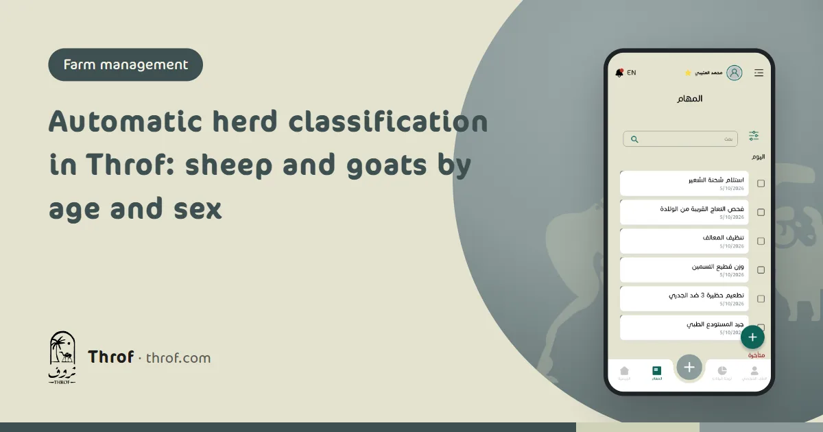 Automatic herd classification in Throf: sheep and goats grouped by age and sex on a phone screen beside the pen — Throf