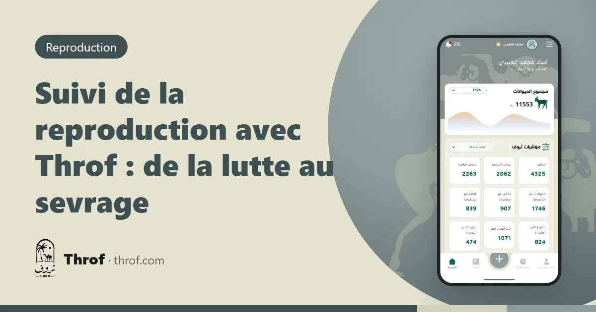 Suivi de la reproduction avec Throf : un éleveur enregistre gestations et naissances de jumeaux sur son téléphone dans la bergerie — Throf