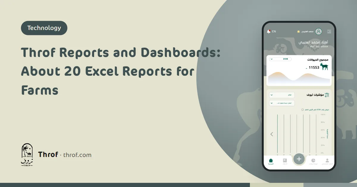 Throf reports and dashboards: a breeder reviews flock charts and an Excel report on a laptop beside his sheep — Throf