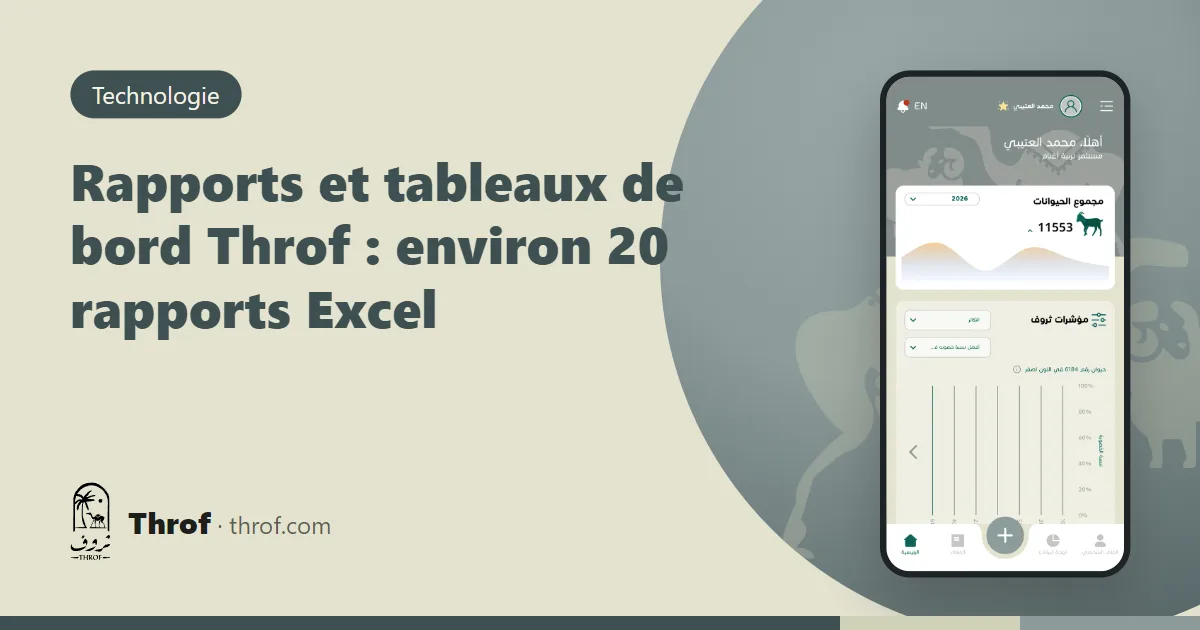 Rapports et tableaux de bord Throf : un éleveur consulte les graphiques de son troupeau et un rapport Excel près de ses moutons — Throf