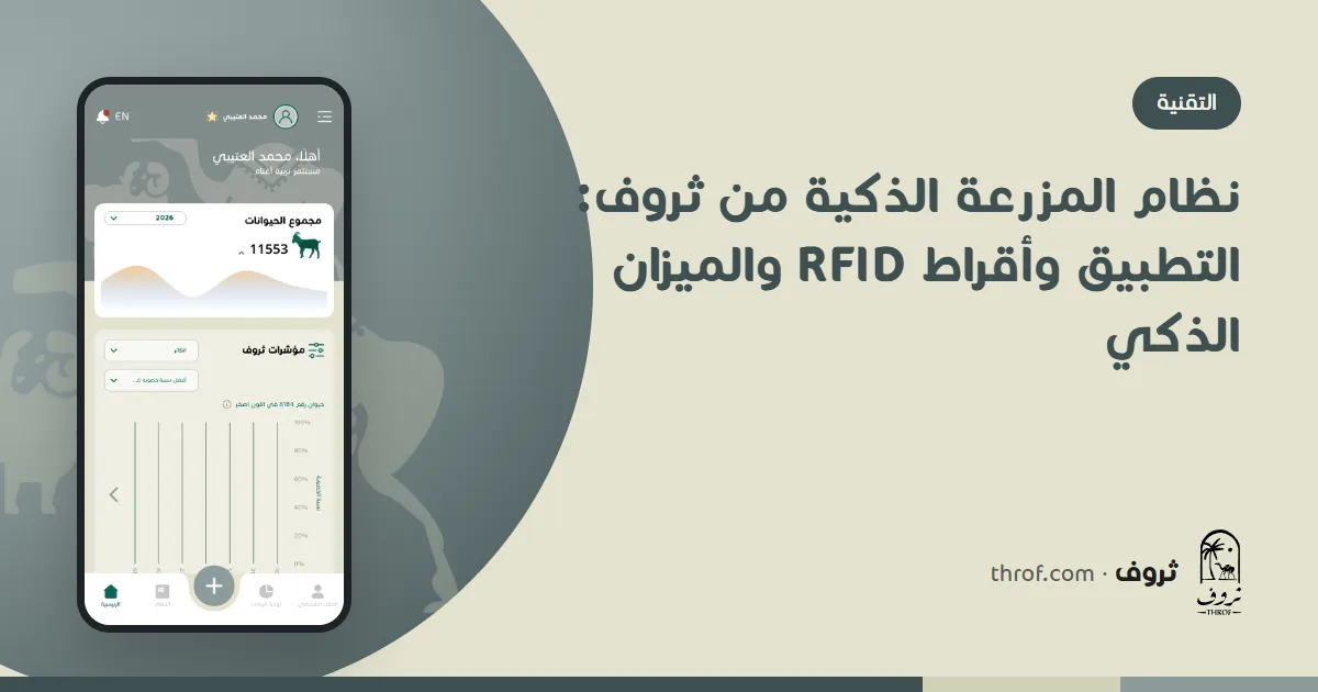 نظام المزرعة الذكية من ثروف: جوال وقرط RFID وقارئ بلوتوث وميزان مواشي في حظيرة أغنام — ثروف