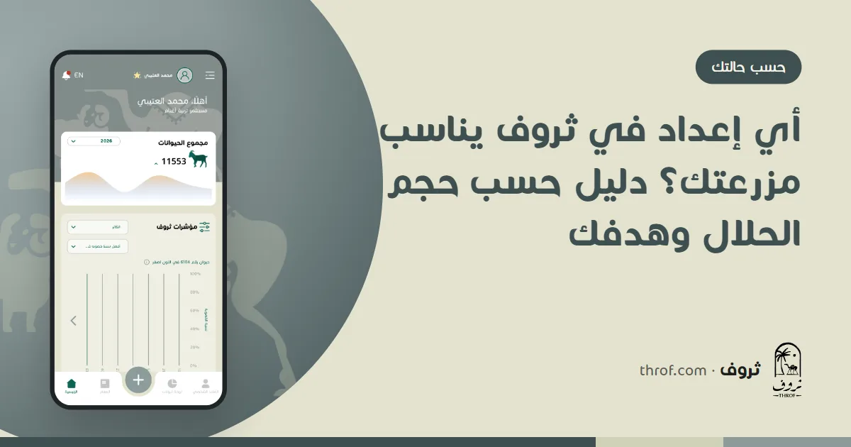 مربي يختار إعداد ثروف المناسب لمزرعة الأغنام والماعز حسب حجم الحلال وهدفه — ثروف