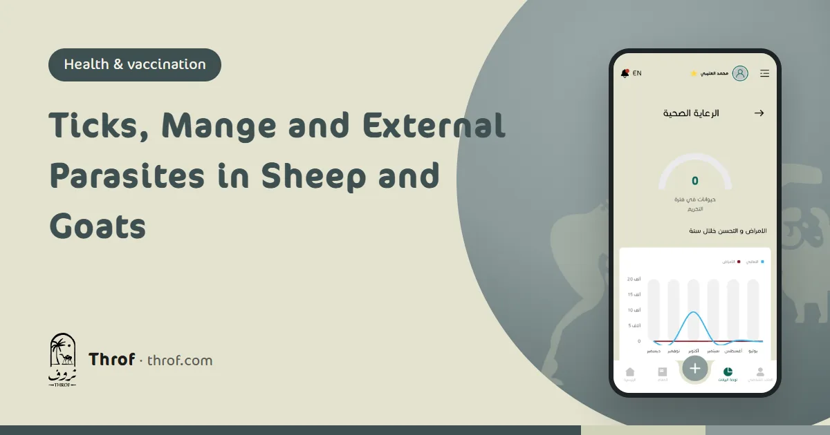 Ticks, mange and external parasites in sheep and goats — Throf