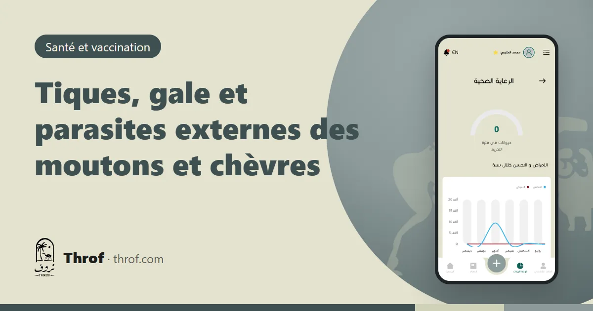 Tiques, gale et parasites externes des moutons et chèvres — Throf