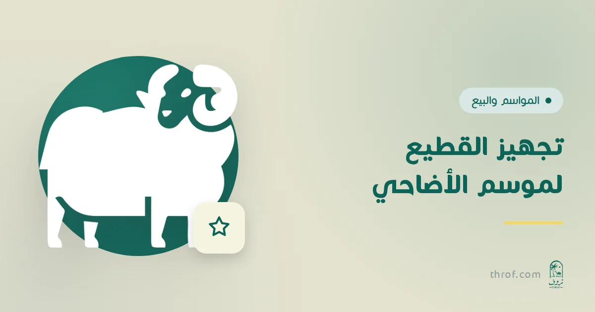 قطيع أغنام جاهز لموسم الأضاحي مع بطاقة وزن وسعر لكل رأس