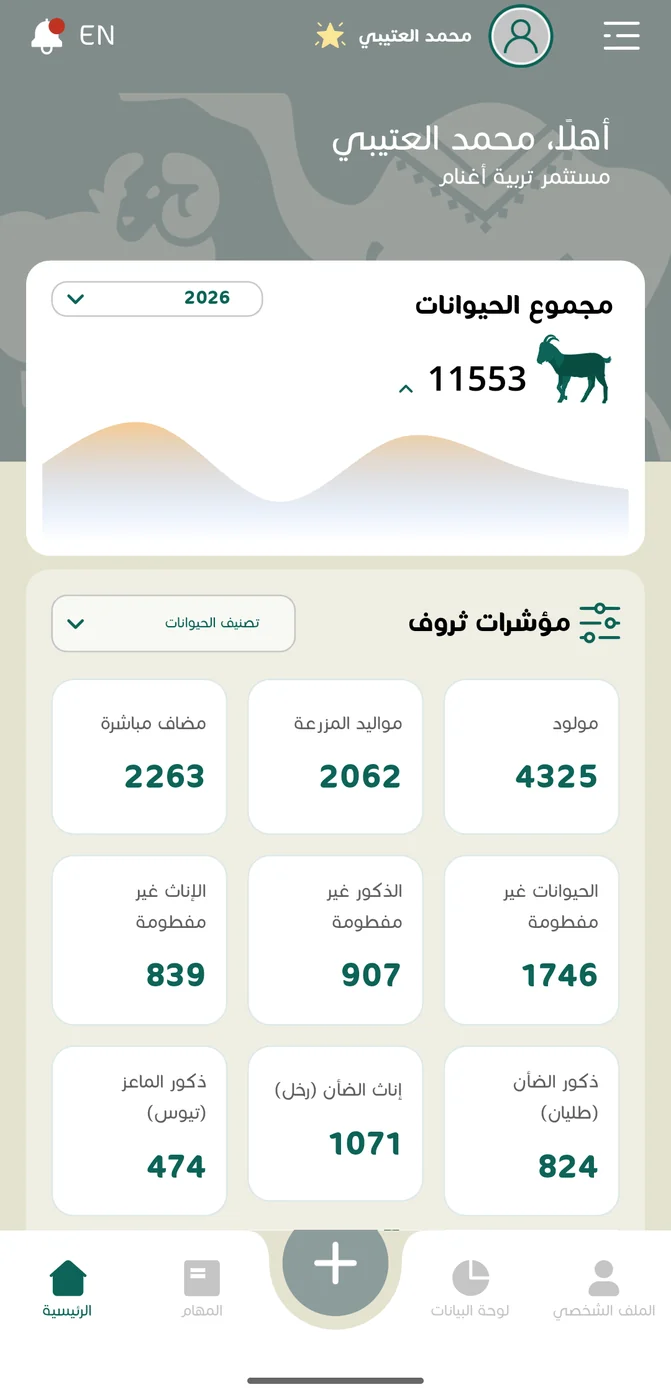 شاشة ثروف الرئيسية: مجموع الحيوانات 11553 رأساً ومؤشرات تصنيف الحيوانات حسب العمر والجنس