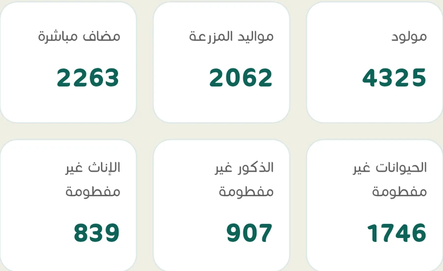 شاشة ثروف الرئيسية: مجموع الحيوانات 11553 رأساً ومؤشرات تصنيف الحيوانات حسب العمر والجنس